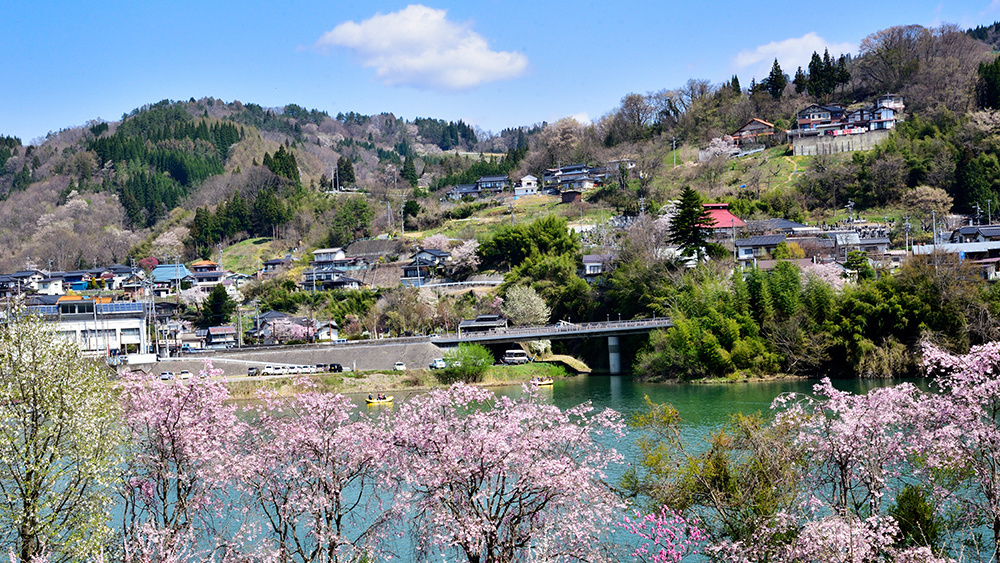   4月	「春爛漫」	塚田米造
