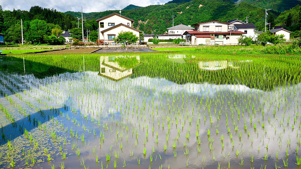6月　五月晴れ　塚田米造